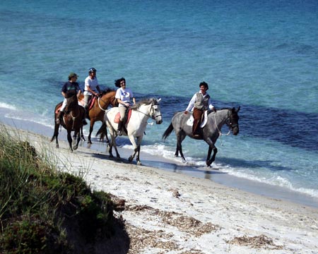 Nello stagno di Cabras e nelle colline del Sinis sono possibili le escursioni a cavallo sia per esperti che per principianti.