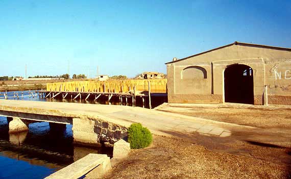 Nel litorale del golfo compreso tra Su Siccu e Tharros, una spiaggia piatta e ricca di cascami di Posidonia si sviluppa sul cordone sabbioso, racchiudendo un braccio di mare che in tempi geologici ha dato origine alla laguna di Mistras. La laguna, oasi faunistica di 450 ettari circa, articolati in due bacini, è contornata da salicornieti, habitat per uccelli che esclusivi di questo ambiente gravitano su tutto il Sinis. Tra questi cormorani, gabbiani diversi, beccacce di mare, pittime, rapaci, volpoche, il fenicottero rosa...ecc