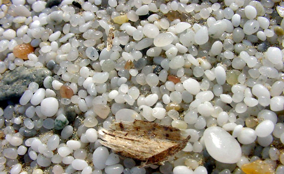 Cabras possiede numerosi chilometri di spiagge caratterizzate dalla sabbia quarzifera dal colore bianco e dalle dimensioni di chicchi di riso, interrotte ogni tanto da falesie e promontori rocciosi, che risultano collegati alla terraferma da lingue sabbiose.